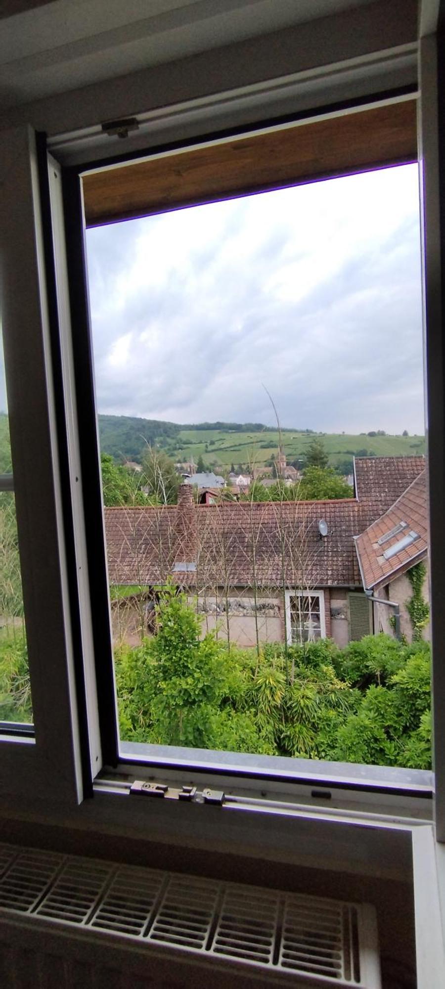 La Ferme Des Perles Noires Hotel Ribeauville  Ngoại thất bức ảnh
